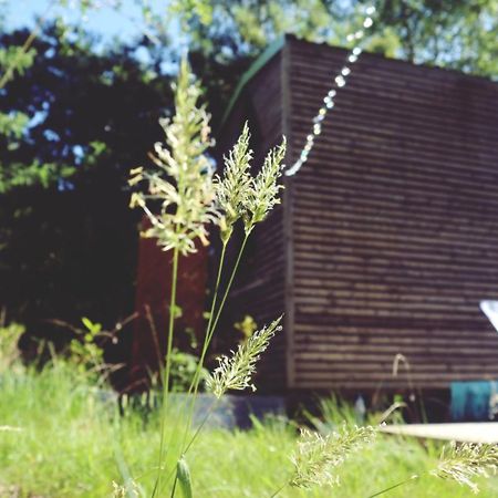 מלון Naujac-sur-Mer Tiny House Nouvelle Annonce Boho Ocean מראה חיצוני תמונה